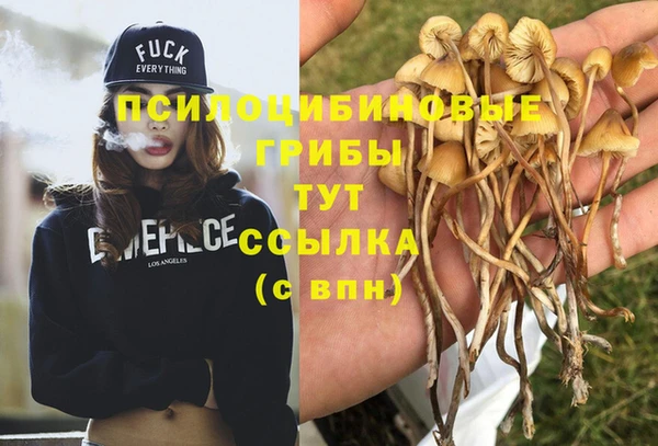 гидропоника Бородино