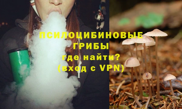 ALPHA-PVP Бугульма