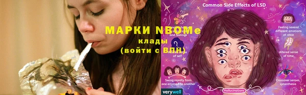apvp Снежинск