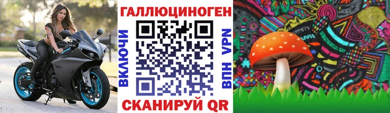Псилоцибиновые грибы GOLDEN TEACHER  Тотьма 