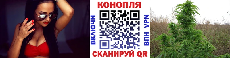 площадка состав  продажа наркотиков  Тотьма  Бошки Шишки LSD WEED 